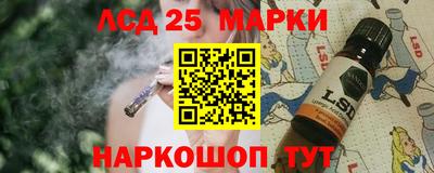 гашик Ливны